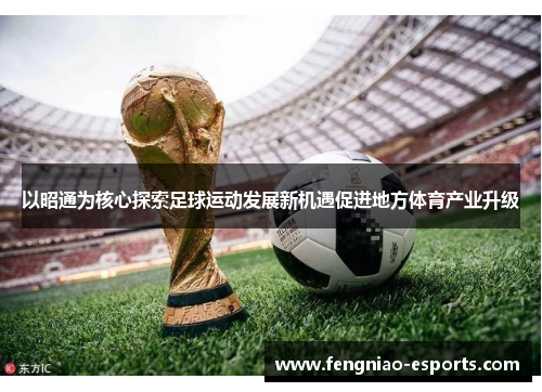以昭通为核心探索足球运动发展新机遇促进地方体育产业升级